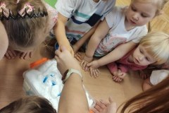 IMG-20211119-WA0003_450x600