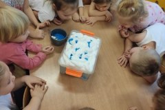 IMG-20211119-WA0024_450x600