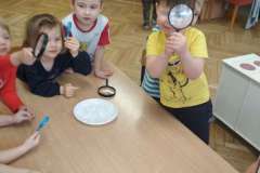 IMG_20210208_101243-F1022x1022