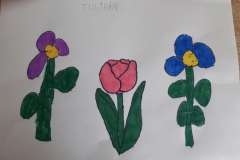 tulipan-Dominika-Malordy-F1022x1022