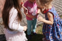 IMG_20220601_113834_450x600