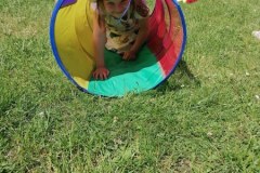 IMG_20230601_110230_450x600