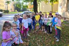 img-20230929-wa0005