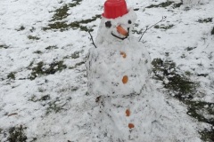 b5f7fff5-e309-4b4f-aa01-7eee48d8dcfc