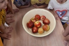 20210928_093931_800x600