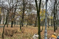 462565737_8849407448453438_6559846095708821548_n_450x600