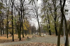 465769925_1083558316367436_3662946777180550665_n_450x600