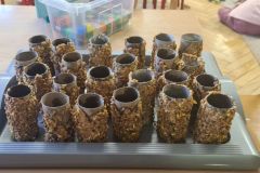 kangurki-dokarmianie-ptakow-1