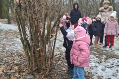 kangurki-dokarmianie-ptakow-2