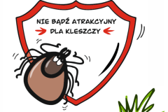 Projekt bez tytułu - 1