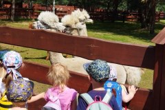 1654842429108_800x368