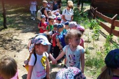 1654842429131_800x368