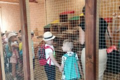 1654842429153_800x368