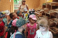 1654842429174_800x368