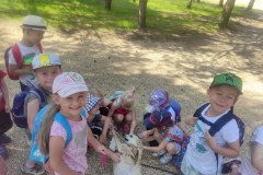 img_20220606_101658_799x600