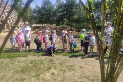 img_20220606_103205_799x600