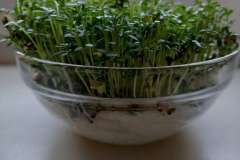 IMG-20200415-WA0005-F1022x1022