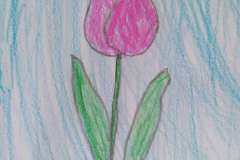 IMG_20210330_185558-F1022x1022