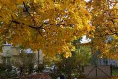 IMG-20201027-WA0002-F1022x1022