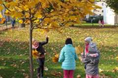 IMG-20201027-WA0003-F1022x1022