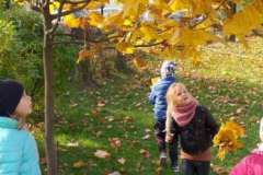 IMG-20201027-WA0007-F1022x1022
