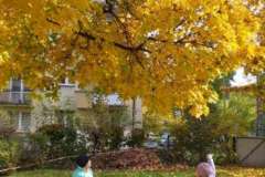 IMG-20201027-WA0009-F1022x1022