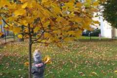 IMG-20201027-WA0011-F1022x1022