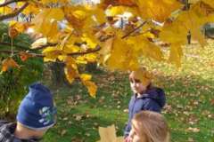 IMG-20201027-WA0012-F1022x1022