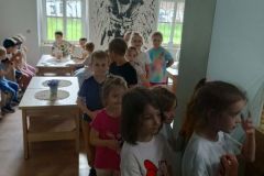 lody-tygryski-1
