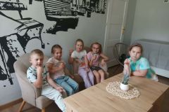 lody-tygryski-4