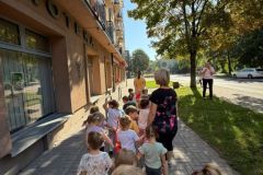 misie-i-skrzyzowanie-1-2026