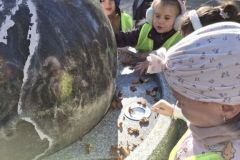 motylki-na-spacerze-1-