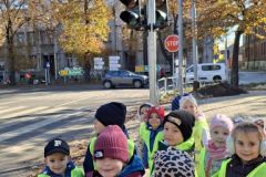 motylki-na-spacerze-3-