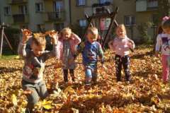IMG-20191120-WA0025-F1022x1022