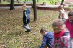 IMG-20210923-WA0019