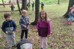 IMG-20210923-WA0023