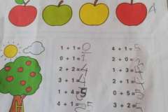 15877170717588707912585828448917-F1022x1022