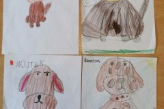 IMG_20220512_102834_800x600