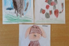 IMG_20220512_102854_450x600