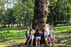 img-20230913-wa0006
