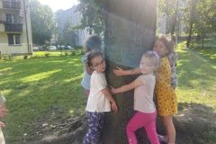 przytul-sie-do-drzewa-2