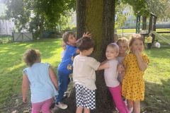 przytul-sie-do-drzewa-3