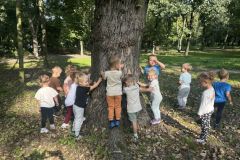 przytul-sie-do-drzewa-4