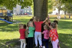 przytul-sie-do-drzewa-1-2026-