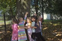 przytul-sie-do-drzewa-2-2026-