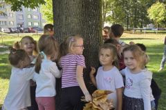 przytul-sie-do-drzewa-3-2026-
