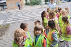 IMG20240919092440_452x600