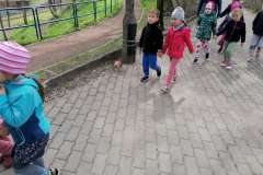 IMG_20210504_112047-F1022x1022