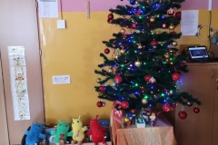 zdjęcie8