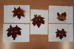 20211019_132917_800x600